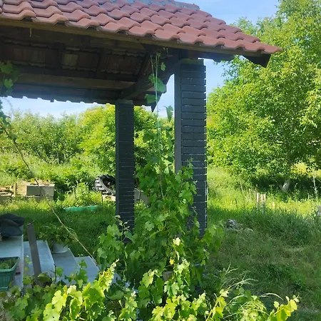 Summer House Belgrade